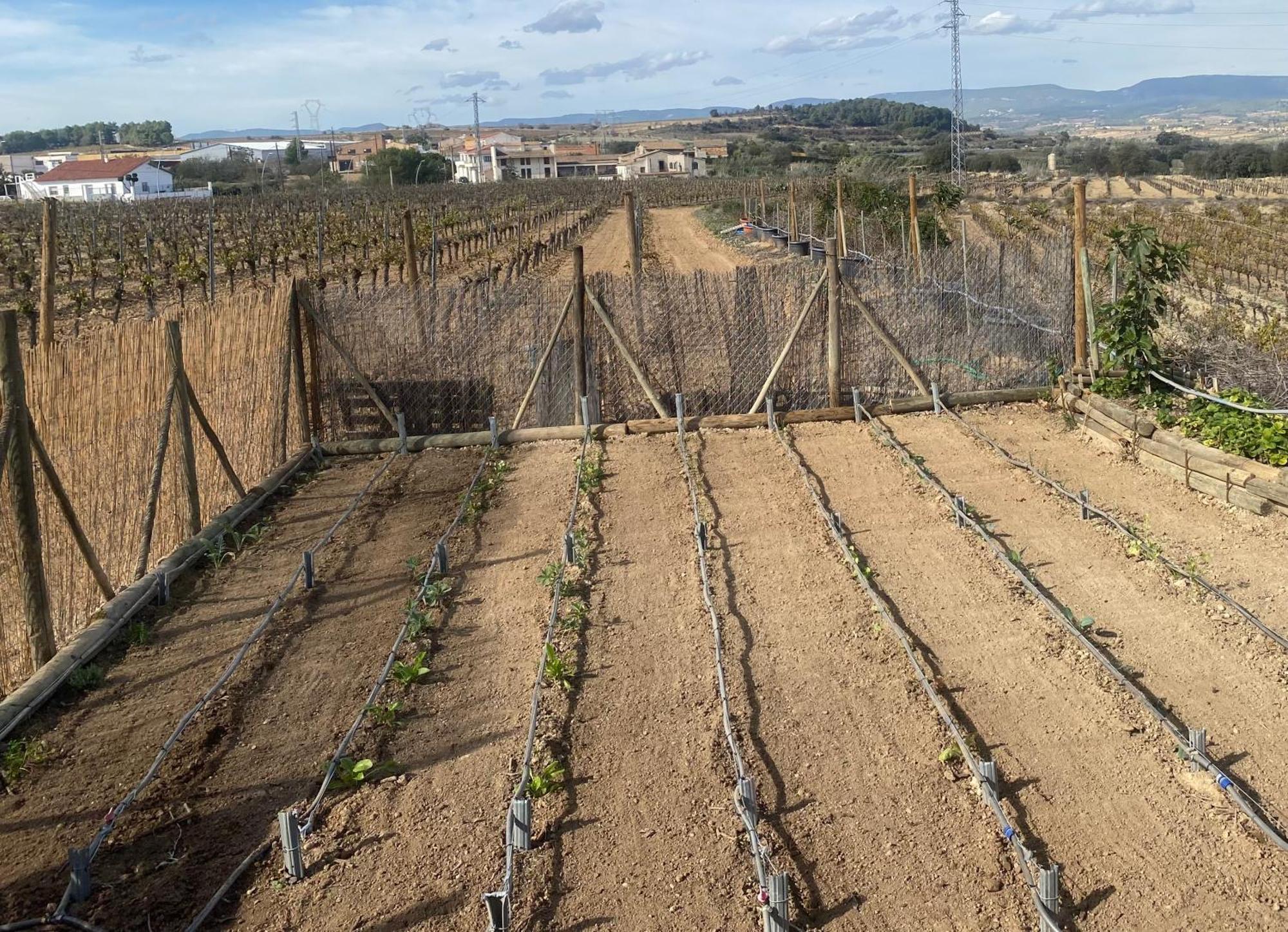 Vila Cal Castla La Granada Exteriér fotografie