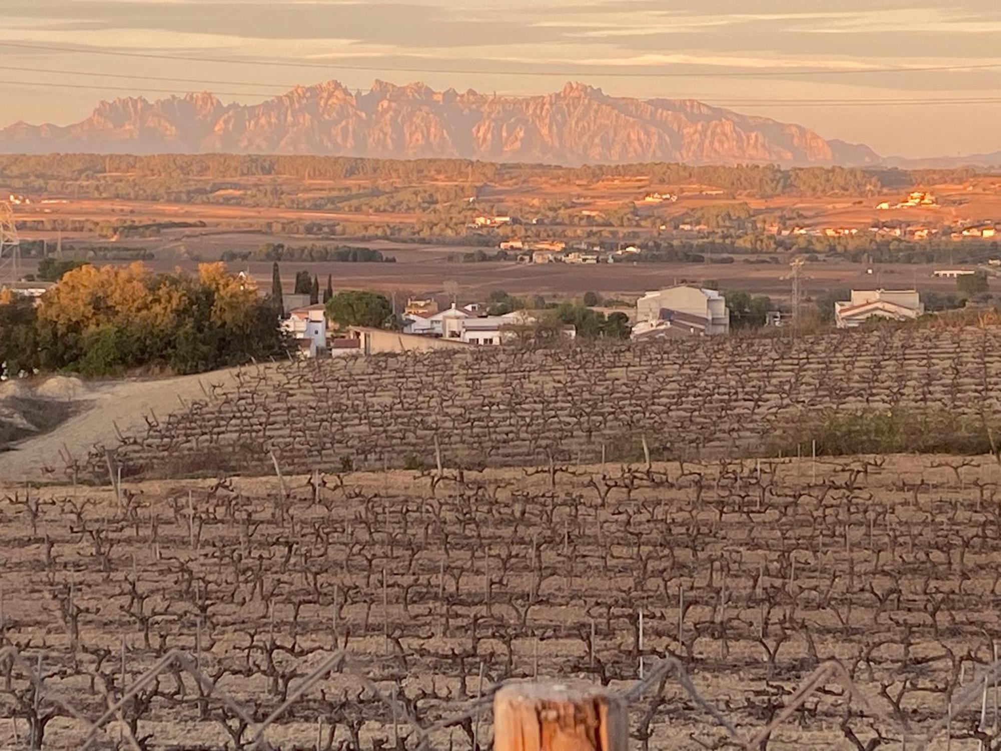 Vila Cal Castla La Granada Exteriér fotografie